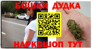 сатива Кунгур