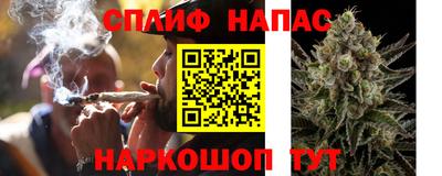 сатива Кунгур