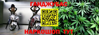 сатива Кунгур