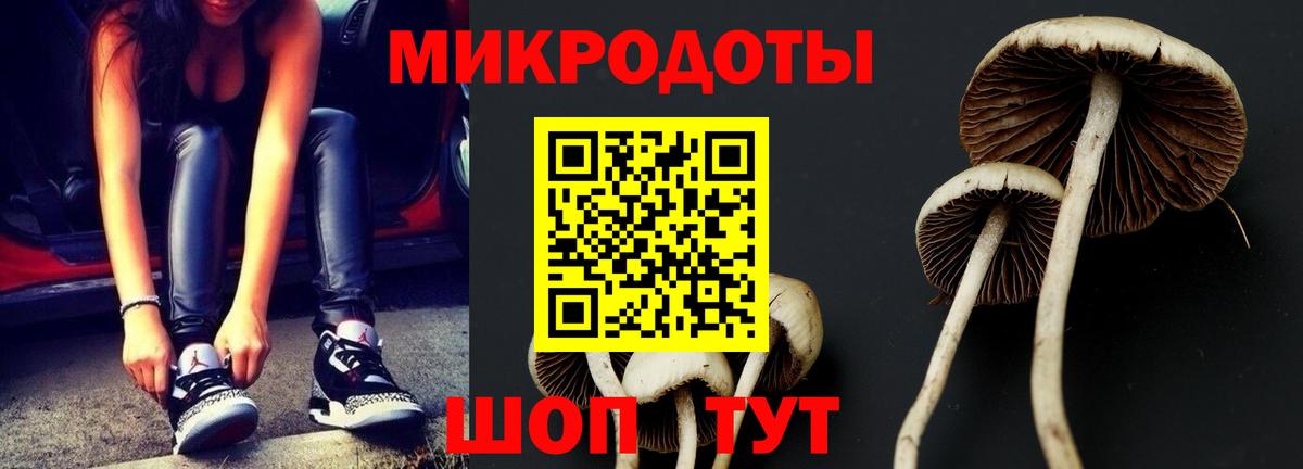 Псилоцибиновые грибы GOLDEN TEACHER  Вход с VPN  Темрюк  Псилоцибиновые грибы Psilocybe 